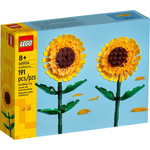 40524 - Sunflowers