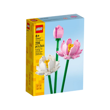 40647- Lotus Flowers