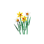 40747 - Daffodils