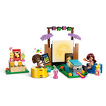 42642 - Friends - Friendship Movie Night