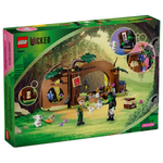 75687 Wicked Elphabas Retreat