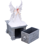 Anne Stokes Only Love Remains Box 20.3cm