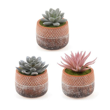 Artificial Plant with Dolomite Pot