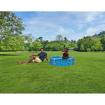 Bestway 1.22m x 30.5cm Fetchin Fun Pet Play Pool