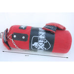 Boxing Bag with Gloves