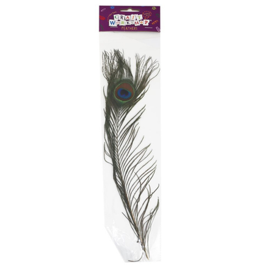 Craft - Feather Peacock 38-43cm - 1pc