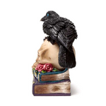 Crow Perched on LED Skull and Books
