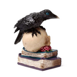 Crow Perched on LED Skull and Books