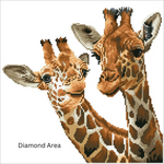 Diamond Dots - Tall & Tender