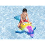 Dolphin Daydream Ride-On - 1.68m x 66cm