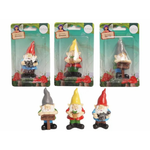 Fairy Garden - Gnomes