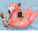 Fancy Flamingo Ride-On