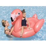 Fancy Flamingo Ride-On