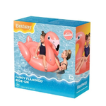 Fancy Flamingo Ride-On