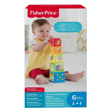 Fisher Price Stack & Explore Blocks