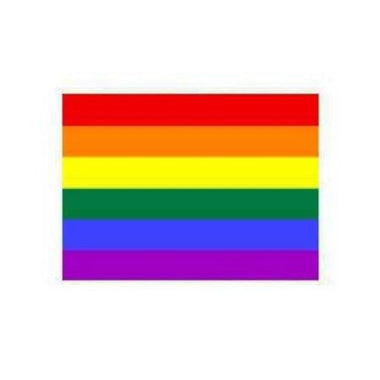 Flag Rainbow Indoor Wall 5x3