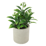 Greenery In Pot 23cm