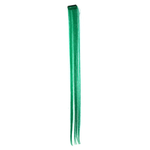 Hair Clip Extensions Green