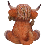 Highland Cow Thistle 10.5cm
