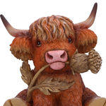 Highland Cow Thistle 10.5cm