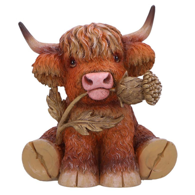 Highland Cow Thistle 10.5cm