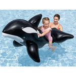 Jumbo Whale Ride-On 2.03m x 1.02m