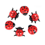 Mini Craft Ladybugs 2 Asst