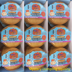 Mystery Dumpling Squishy