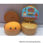 Mystery Dumpling Squishy