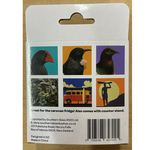 NZ Desk Clock - 6 Assorted