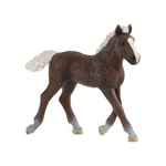 Schleich - Black Forest Foal