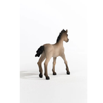 Schleich - Criollo Definitivo Foal (Red Dot)