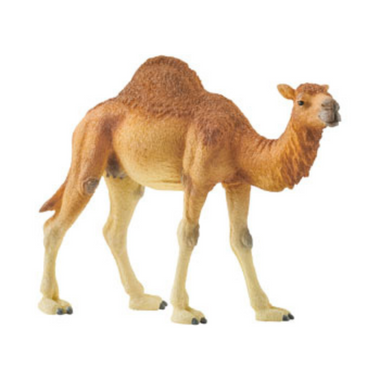 Schleich - Dromedary ( Grey Dot )