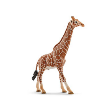 Schleich - Giraffe Male (Grey Dot)