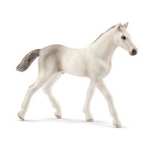 Schleich - Holsteiner Foal