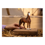 Schleich - Marwari Mare