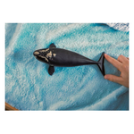 Schleich - North Atlantic Right Whale