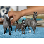 Schleich - Selle Francais Foal (Red Dot)