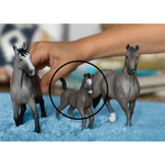 Schleich - Selle Francais Foal (Red Dot)