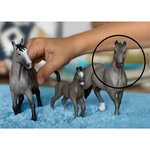 Schleich - Selle Francais Stallion (Grey Dot)