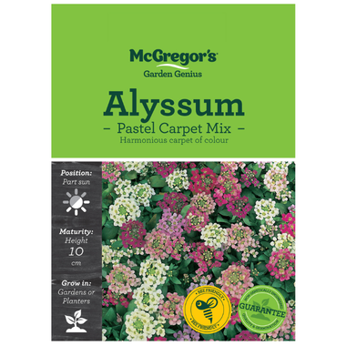 Seeds M2010 Alyssum - Pastel Carpet Mix