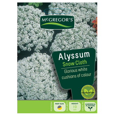 Seeds M2020 Alyssum - Snow Cloth