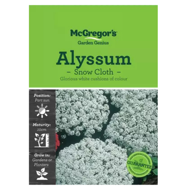 Seeds M2020 Alyssum - Snow Cloth