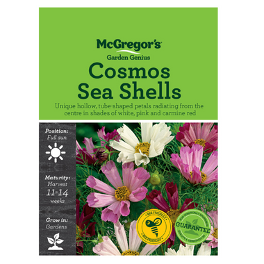 Seeds M2525 Cosmos - Sea Shells