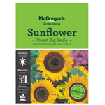 Seeds M2820 Sunflower - Dwarf Big Smile