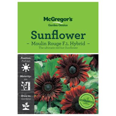Seeds M2835 Sunflower - Moulin Rouge F.1 Hybrid