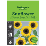 Seeds M2837 Sunflower - Primrose Queen F.1 Hybrid