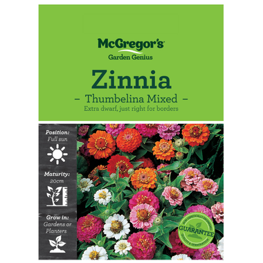 Seeds M2995 Zinnia - Thumbelina Mixed