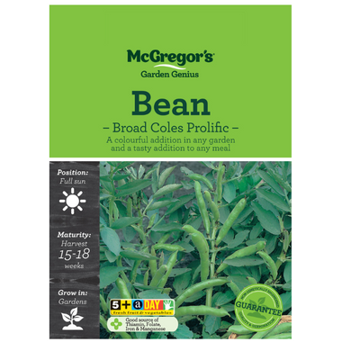 Seeds M6015 Bean - Broad Coles Prolific