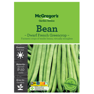 Seeds M6040 Bean - Dwarf French Greencrop
